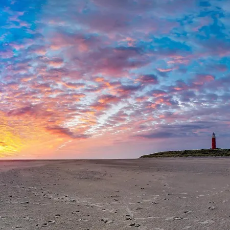 בית נופש In De Koog Near Forest Westermient