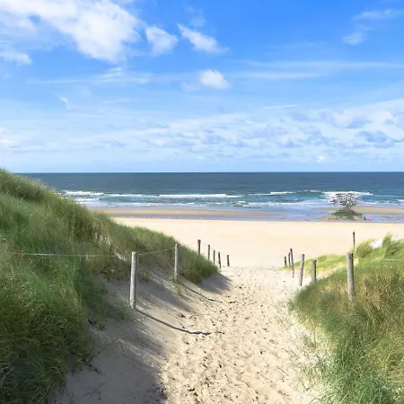 In De Koog Near Forest